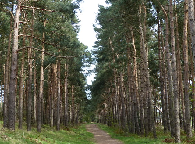 John Muir Way