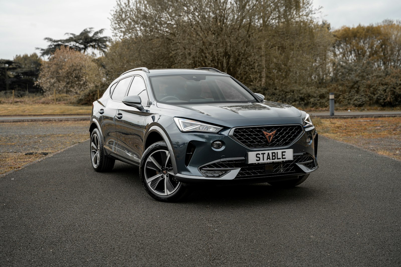 Grijze CUPRA Formentor